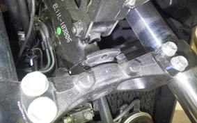 SUZUKI Vｽﾄﾛｰﾑ250SX 2007 EL11L