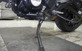 DUCATI SCRAMBLER ICON 2024