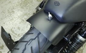 HARLEY XL1200NS 2021
