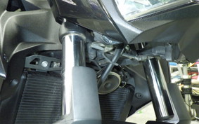 KAWASAKI Z250 A 2021 ER250C