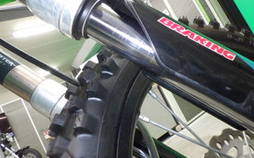 KAWASAKI KX112 2019 KX112A