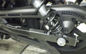 HARLEY RH975 2022
