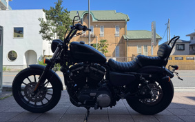 HARLEY XL883N 2010 LE2