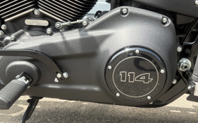 HARLEY FXBBS 2021 YYK