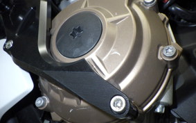 BMW S1000R 2022