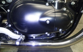 KAWASAKI W800 CAFE 2019 EJ800B