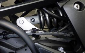 KAWASAKI NINJA 1000SX 2024 ZXT02K