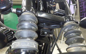 HARLEY XL883N 2020