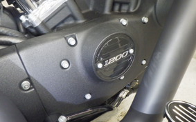 HARLEY XL1200NS 2021