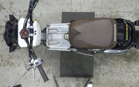 HONDA ZOOMER 2025 AF58