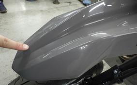 KAWASAKI KLX230SM 2024 LX232A