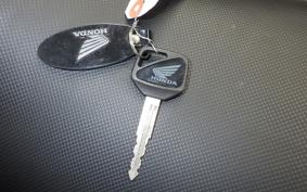 HONDA CB400 SUPER BOLDOR A 2020 NC42