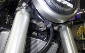 HONDA CB250R 2024 MC52