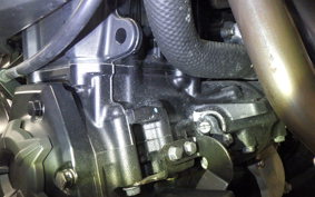 KAWASAKI Z900 Gen.2 2021 ZR900B