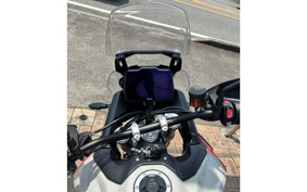TRIUMPH TIGER 900 RALLY PRO 2025 TRC83D