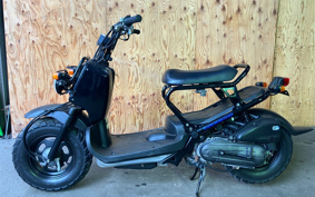 HONDA ZUMAR AF58