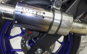 YAMAHA YZF-R25 2015 RG10J