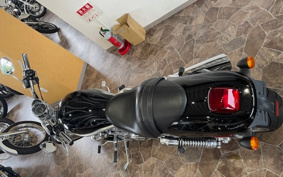 HARLEY  HARLEY VRSCAW 2008 HKH