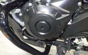 SUZUKI Vｽﾄﾛｰﾑ250A 2022