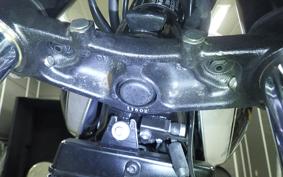TRIUMPH BONNEVILLE T100 2025
