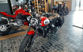 DUCATI DUCATI  SCRAMBLER  ICON 2021 K102