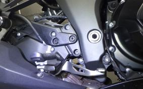 KAWASAKI NINJA 1000SX 2021 ZXT02K