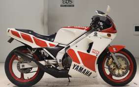 YAMAHA TZR250 2019 1KT
