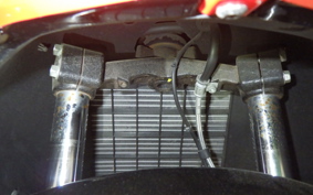 APRILIA APRILIA SR MAX300IE 2017