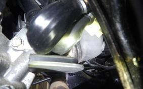 HONDA LEAD 110