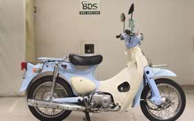 HONDA LITTLE CUB 2025 AA01