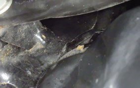 HONDA GYRO CANOPY 2000 TA03