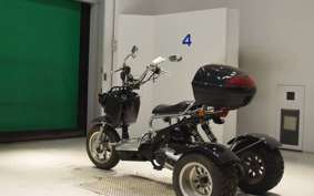 OTHER +UNREGISTERED MODEL by BDS180 TRIKE