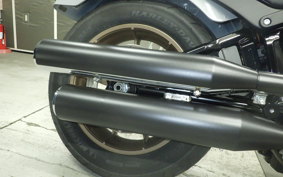 HARLEY FXLRS1920 2025