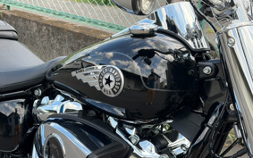 HARLEY FLFB 2026 YF9