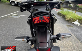 KAWASAKI Z125 PRO 2016 BR125H