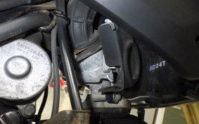 HONDA GROM