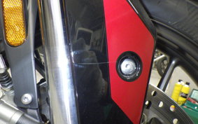 TRIUMPH TIGER 900 GT PRO 2024