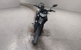 KAWASAKI D-TRACKERX LX250V