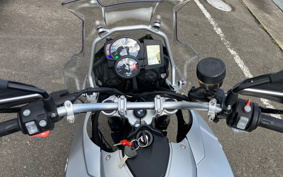 BMW F650GS 2010 0218