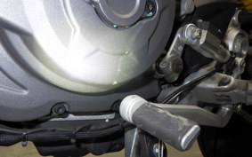 DUCATI HYPERMOTARD 950 2024