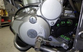 KAWASAKI KLX250 Gen.2 2000 LX250S