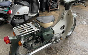 HONDA SUPER CUB50 C50