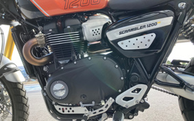 TRIUMPH  TRIUMPH  SCRAMBLER 1200XE 2024 DADS0H