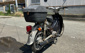 HONDA LITTLE CUB C50