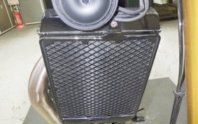 TRIUMPH SPEED400 2024