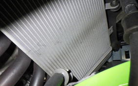 KAWASAKI ZX-4RR 2024 ZX400P