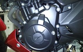 YAMAHA MT-25 2007 RG10J
