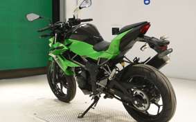 KAWASAKI Z250 SL BR250E