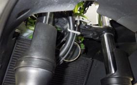 KAWASAKI NINJA 250 SL