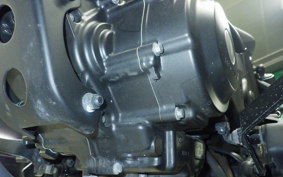 HONDA REBEL 250 2007 MC49